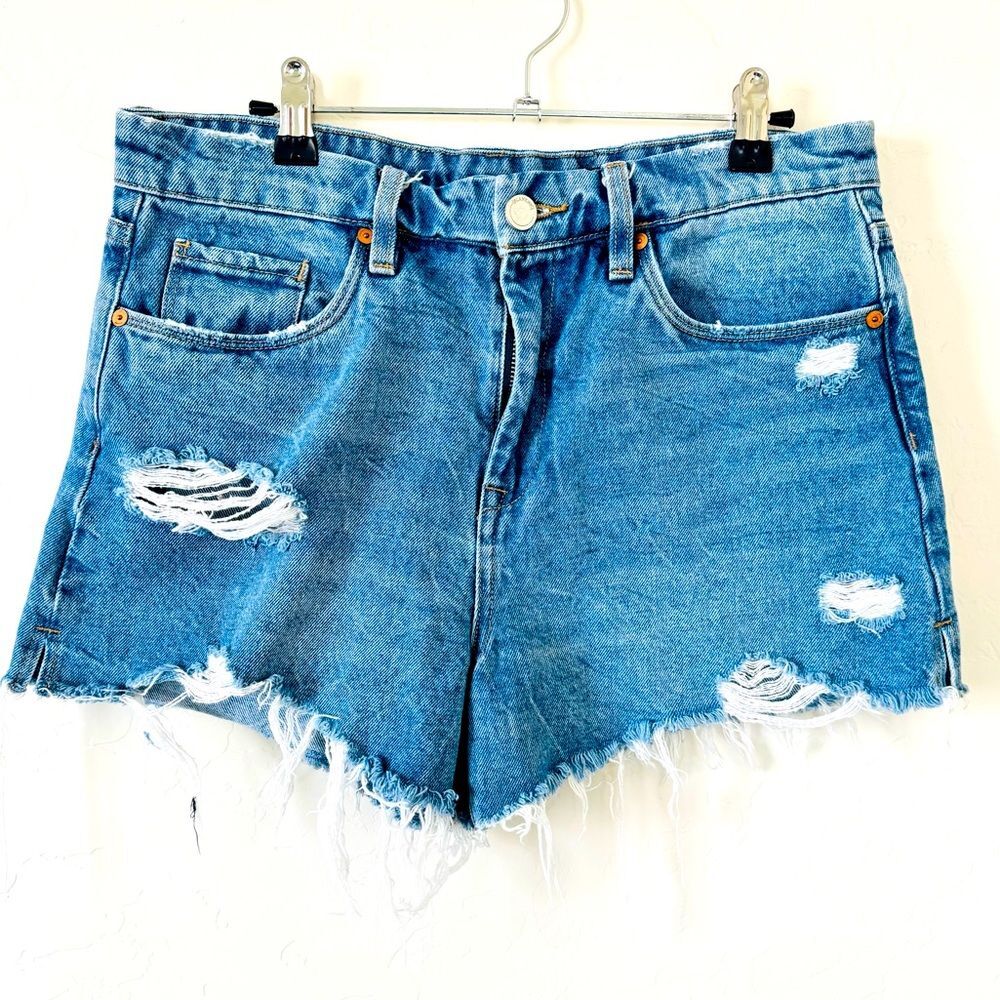 Blank NYC The Barrow Shorts Size 30